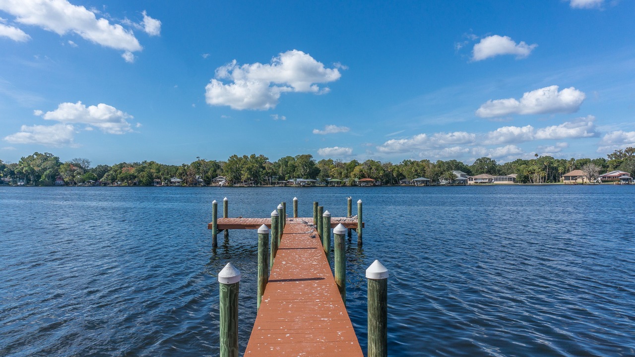 Photo of Others in Homosassa