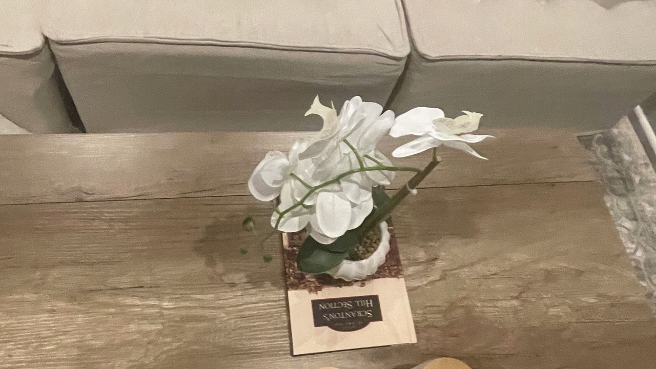 Photo of Others in Scranton