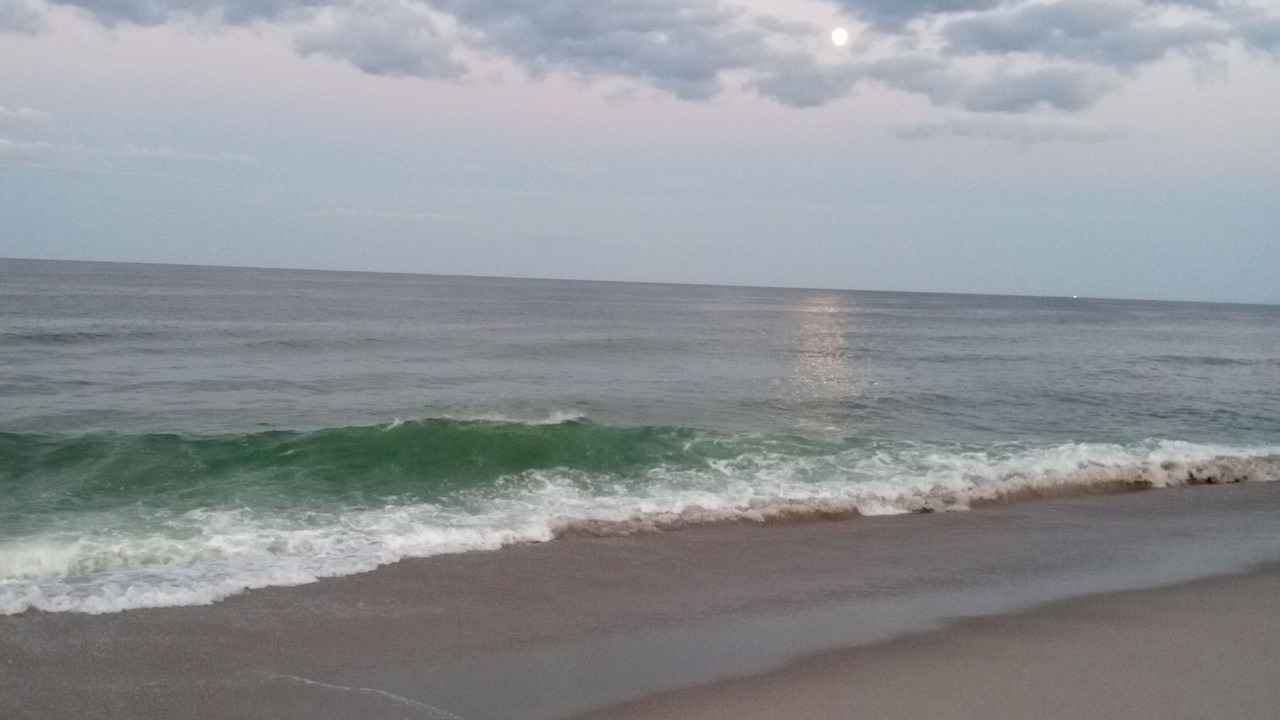 Photo of Others in Mantoloking