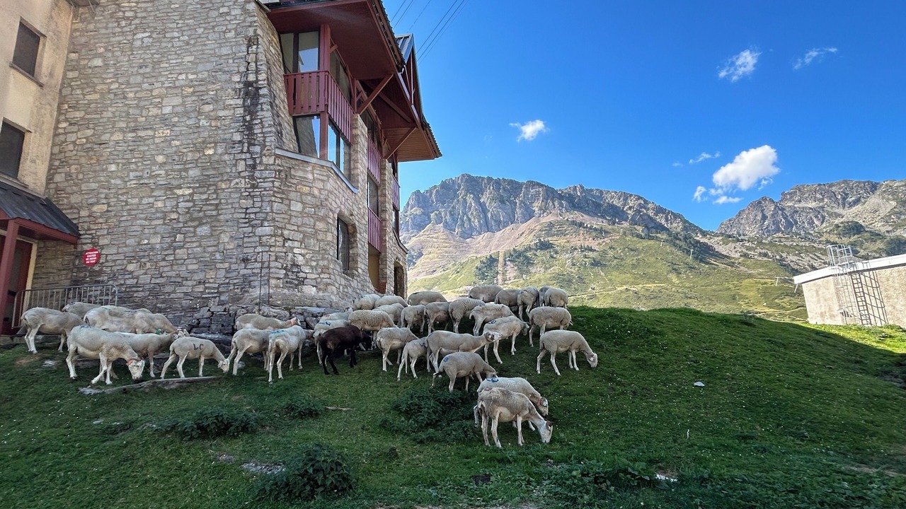 Photo of Outdoor in La Mongie