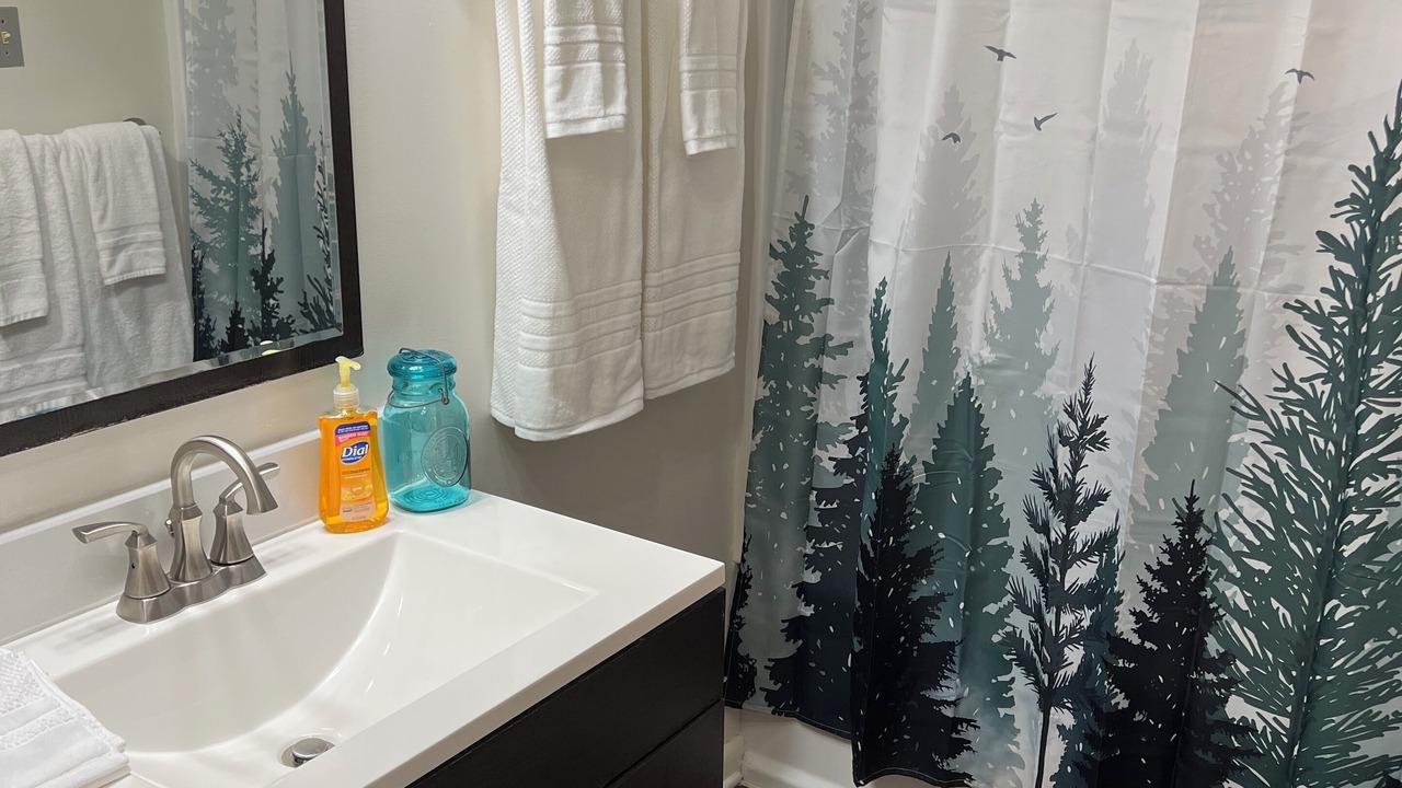 Photo of Bathroom in Nellysford