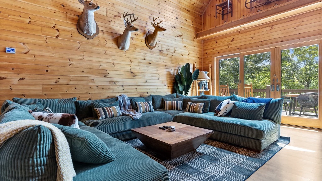 Photo of Livingroom in Morganton