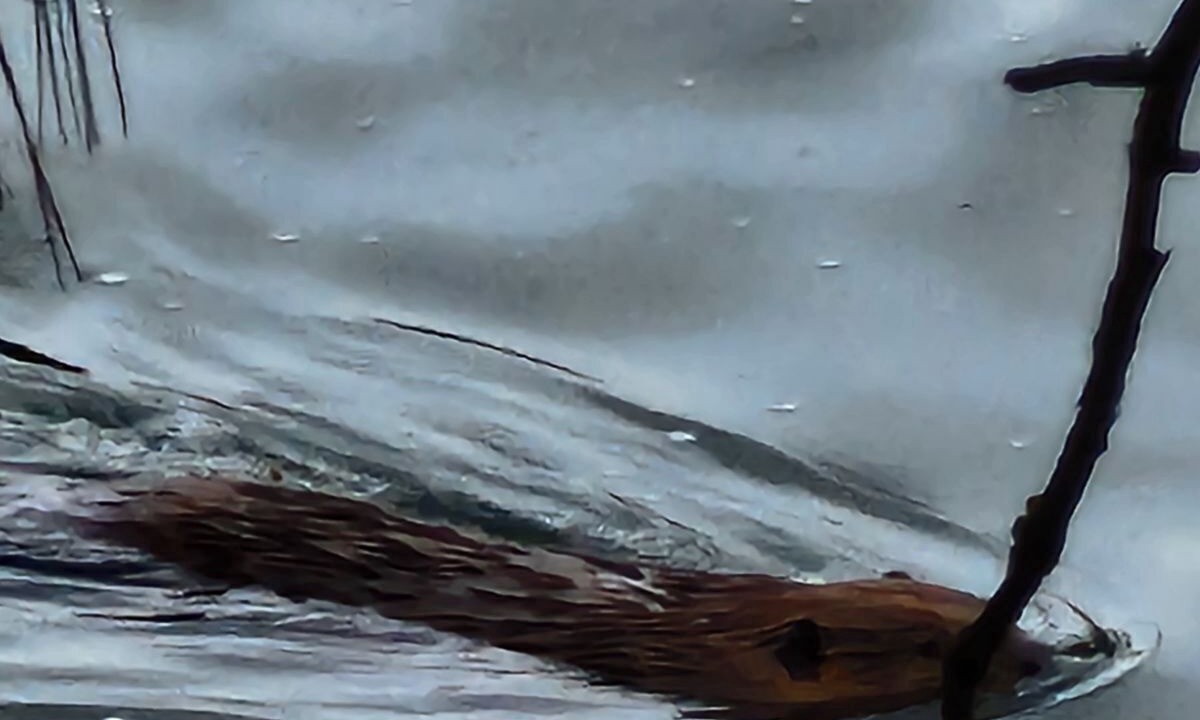 Photo of Others in Riverbend