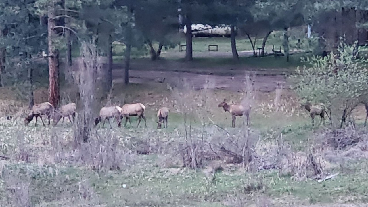 Photo of Others in Riverbend