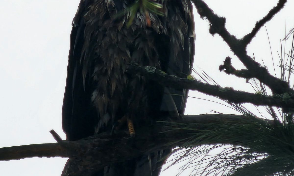 Photo of Others in Riverbend