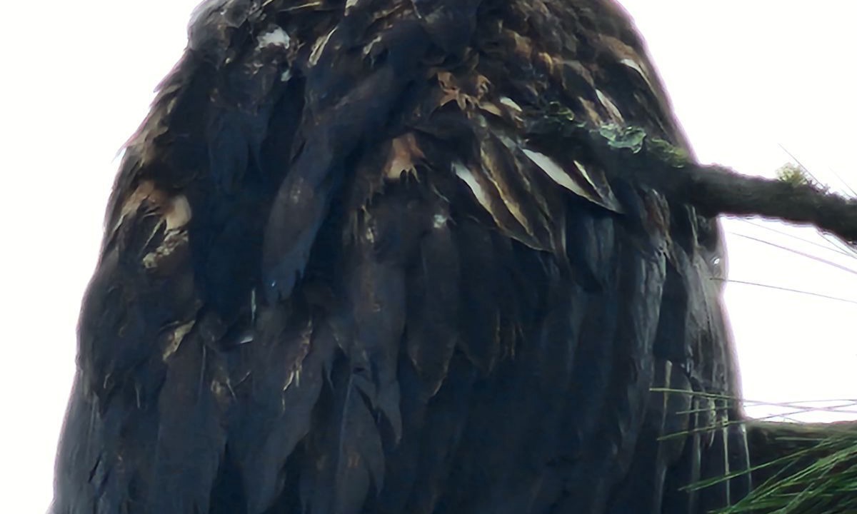 Photo of Others in Riverbend