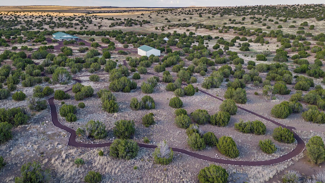 Photo of Outdoor in Concho