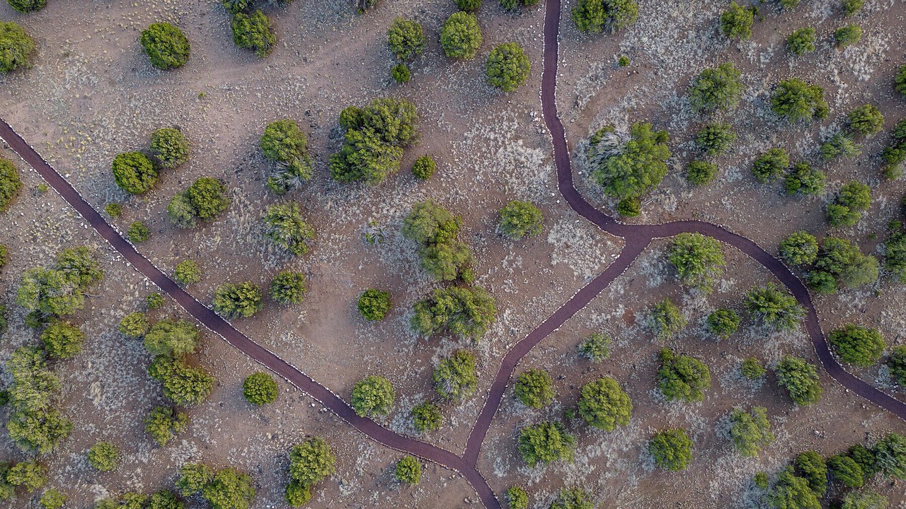 Photo of Outdoor in Concho