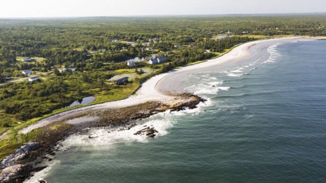 Photo of Others in Brooklyn