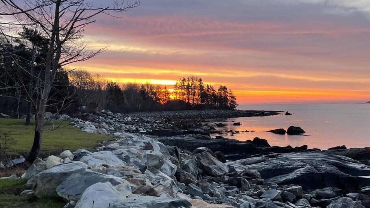 Photo of Others in Brooklyn