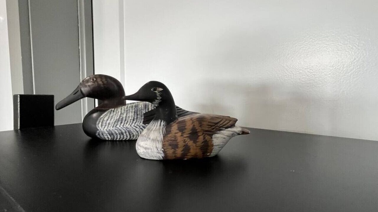 Photo of Others in Brooklyn