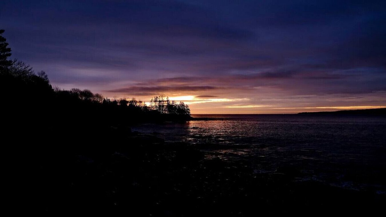 Photo of Others in Brooklyn