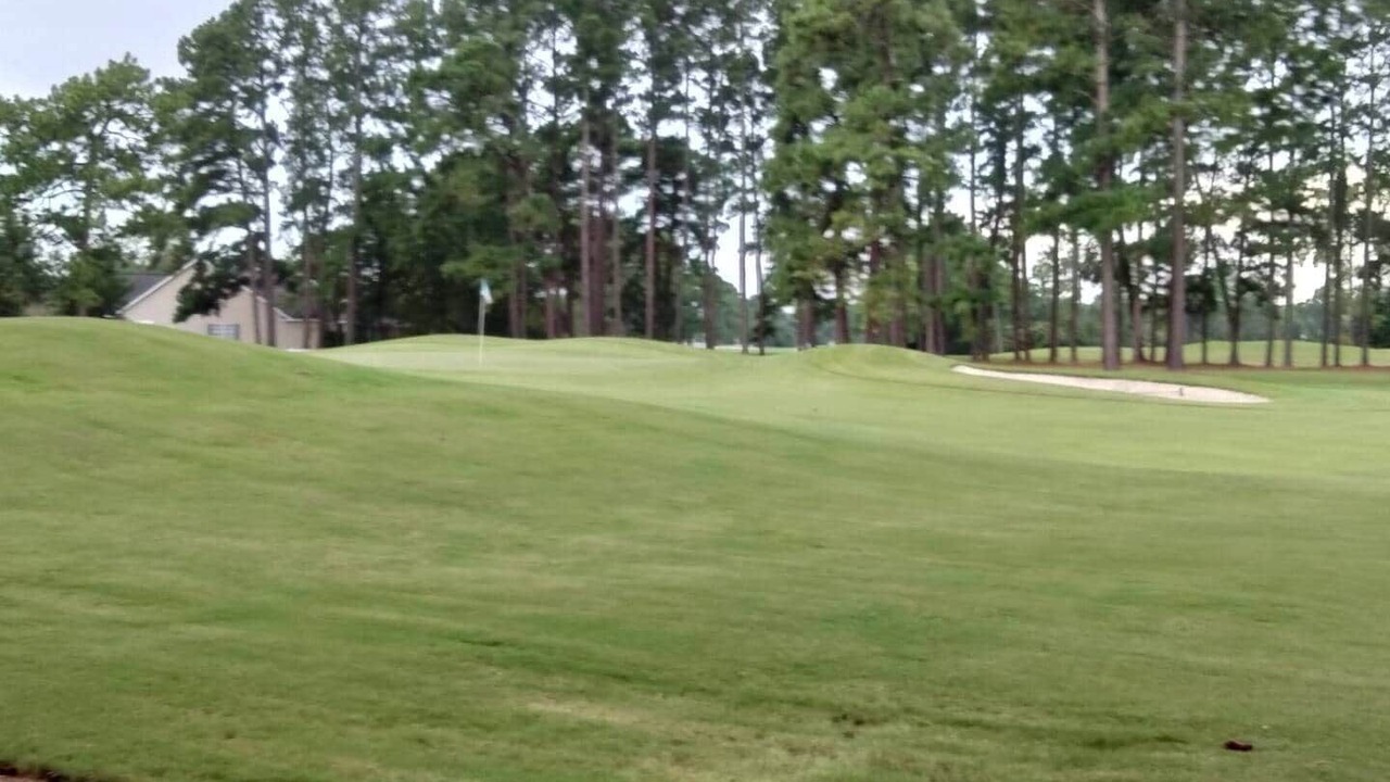 Photo of Others in Red Hill