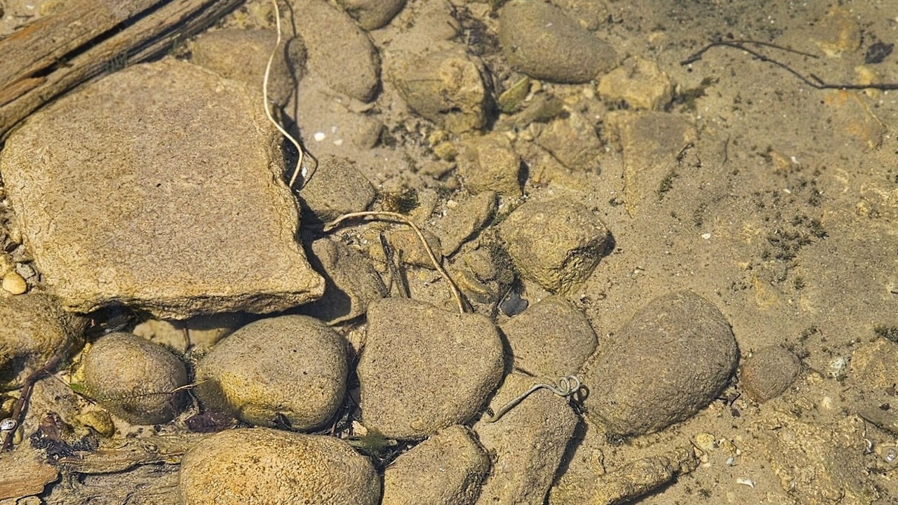 Photo of Others in Petoskey