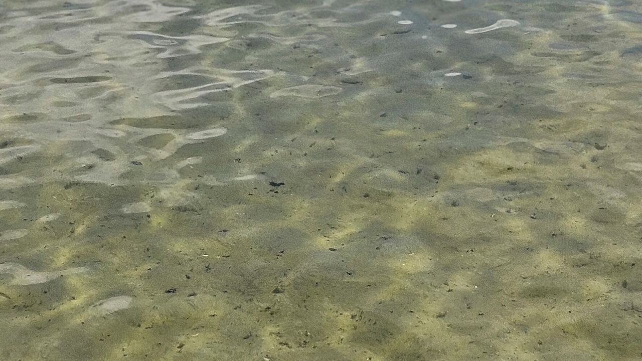 Photo of Others in Petoskey