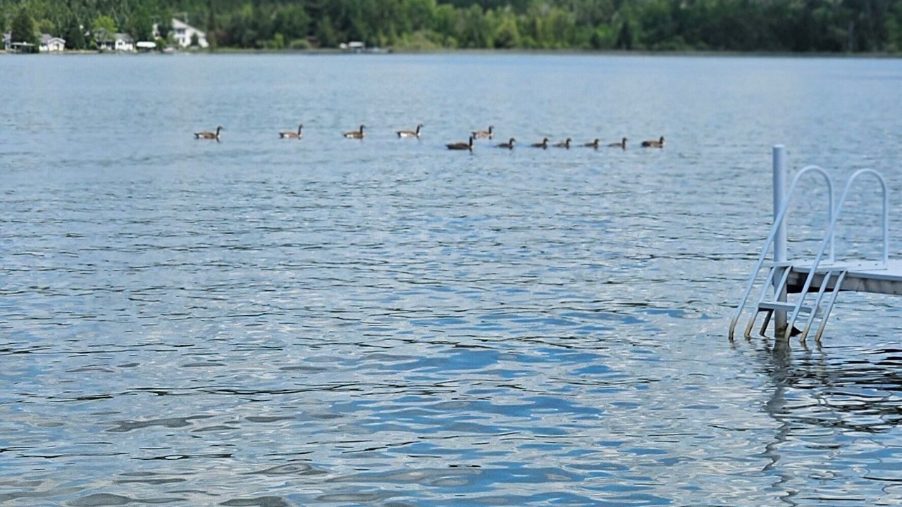 Photo of Others in Petoskey