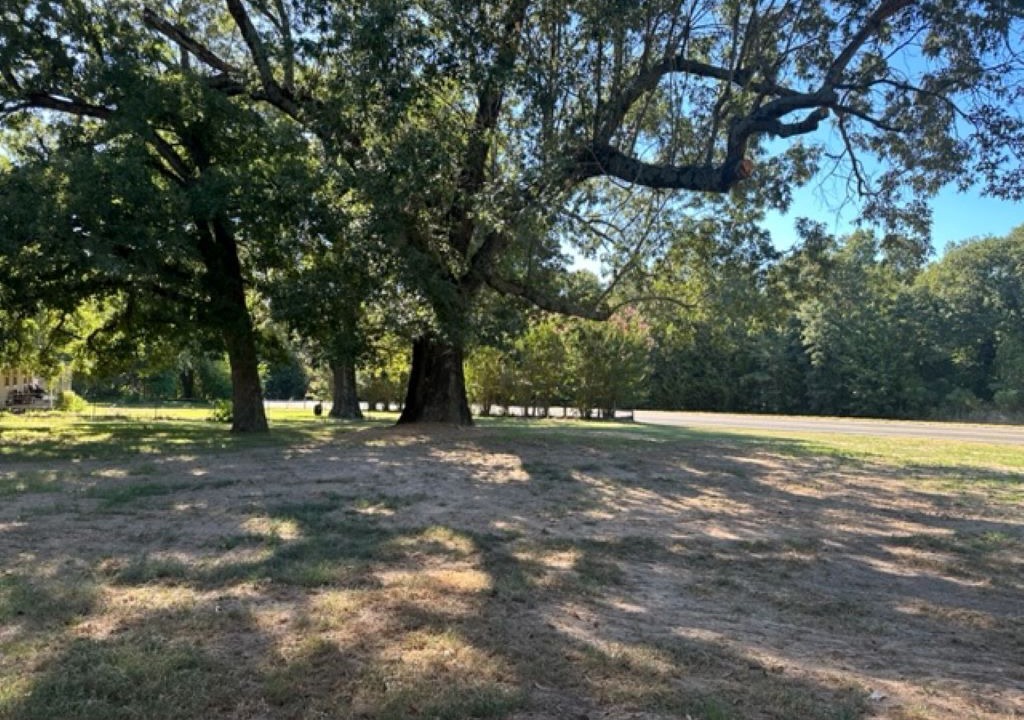 Photo of Others in Arthur City