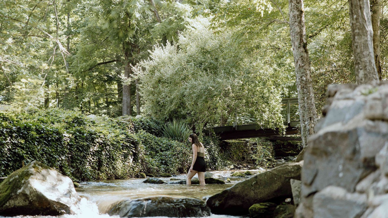 Photo of Others in Pittman Center