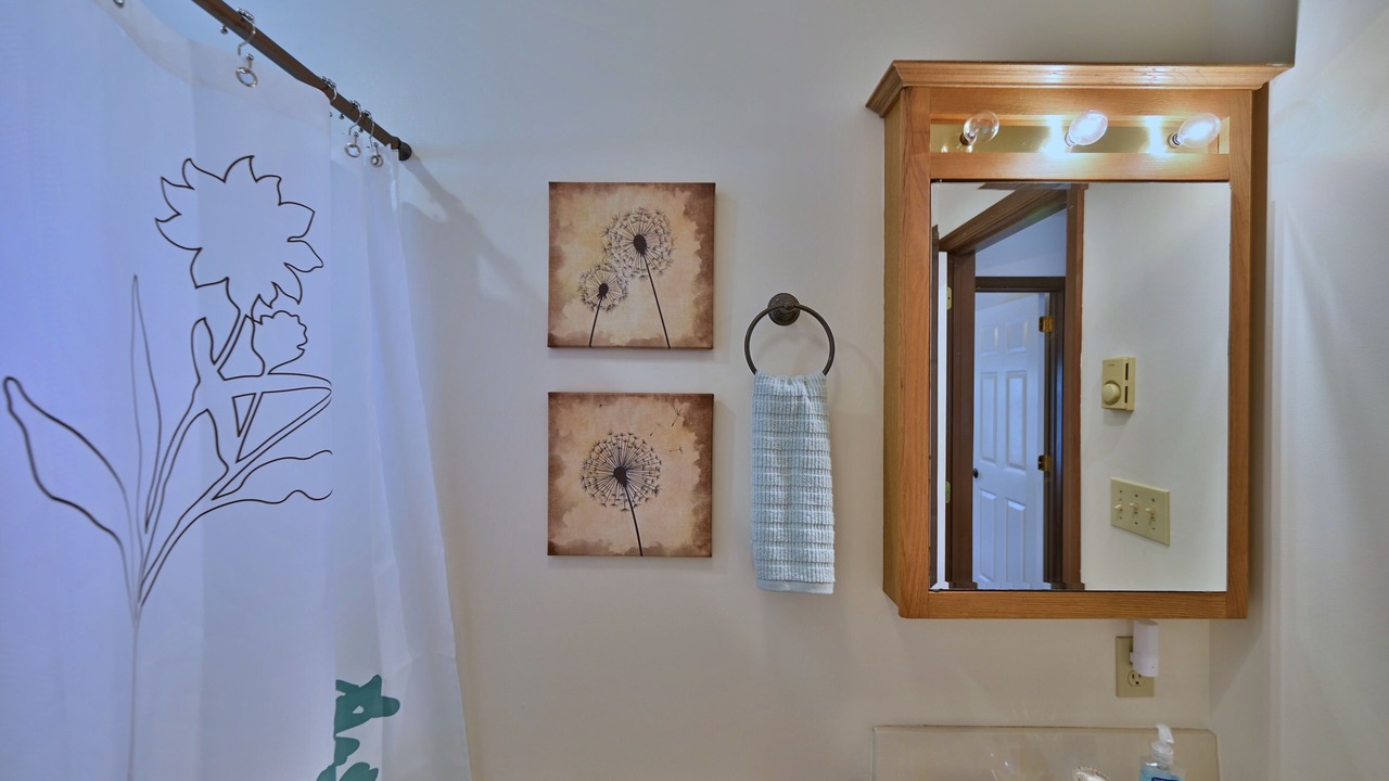 Photo of Bathroom in Albrightsville