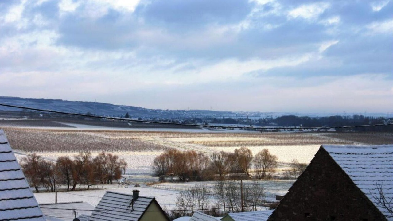 Photo of Others in Dangolsheim