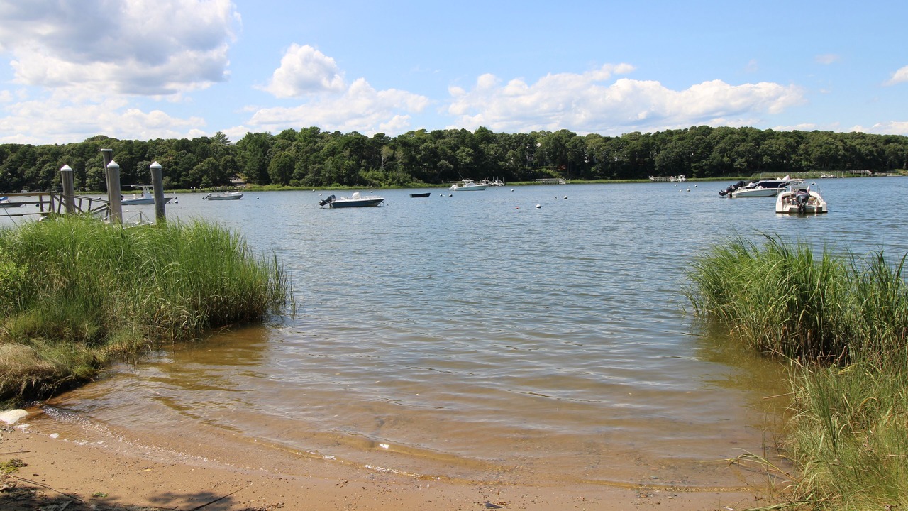 Photo of Others in Cotuit