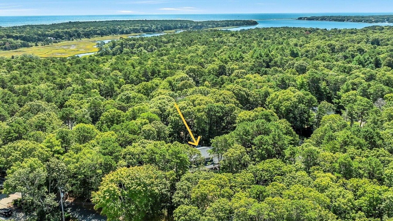 Photo of Outdoor in Cotuit