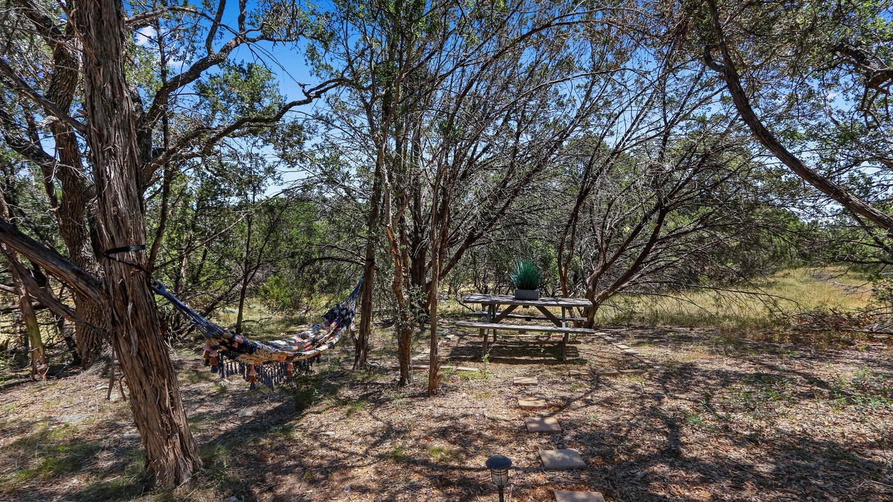 Photo of Others in Spring Branch