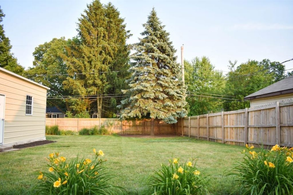 Photo of Outdoor in South Bend