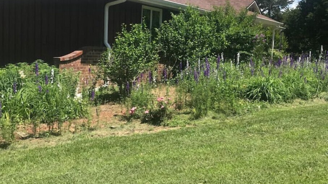 Photo of Outdoor in Emporia