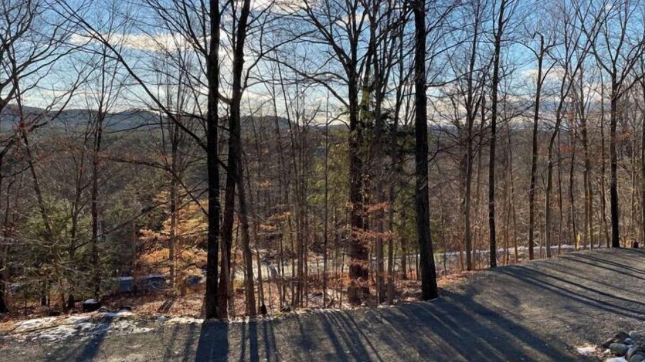 Photo of Others in Lake Luzerne