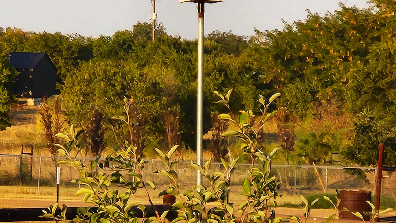 Photo of Outdoor in Ponder