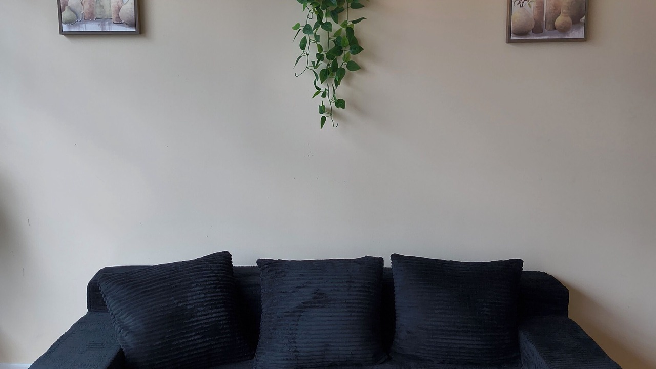 Photo of Livingroom in North Chesterfield