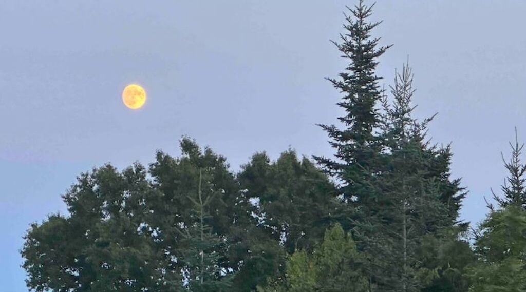 Photo of Others in East Machias