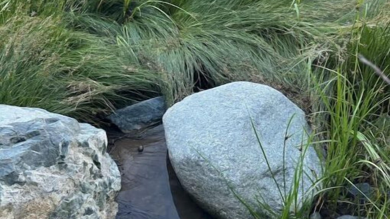 Photo of Others in East Machias