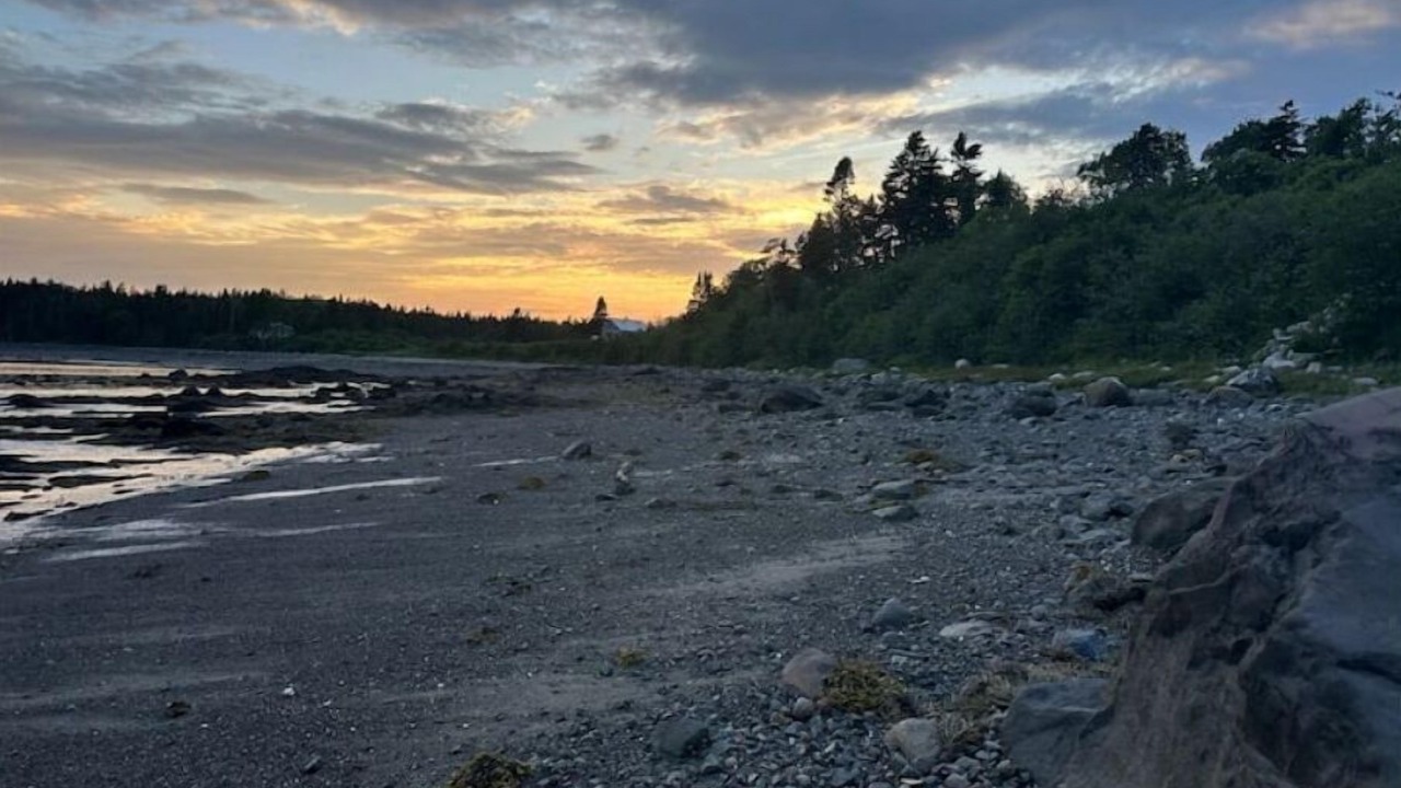 Photo of Others in East Machias