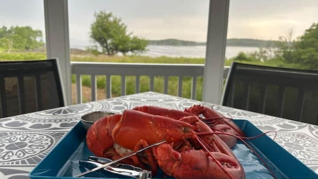 Photo of Outdoor in East Machias