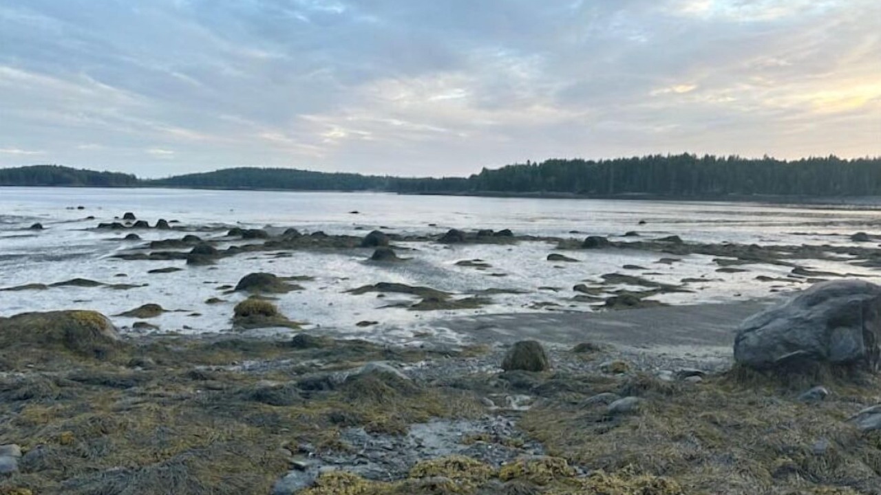 Photo of Others in East Machias