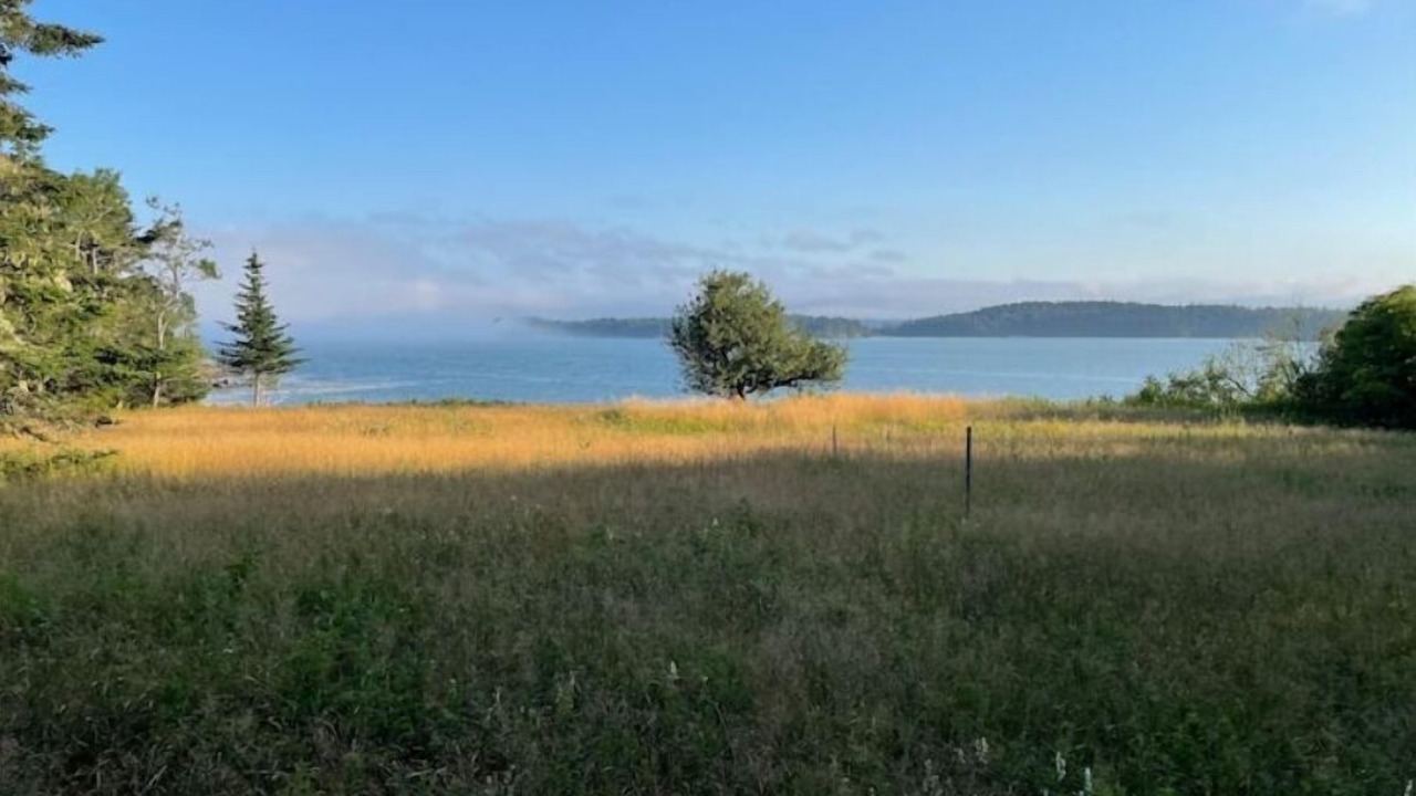 Photo of Others in East Machias