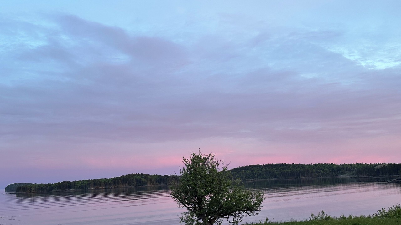 Photo of Others in East Machias