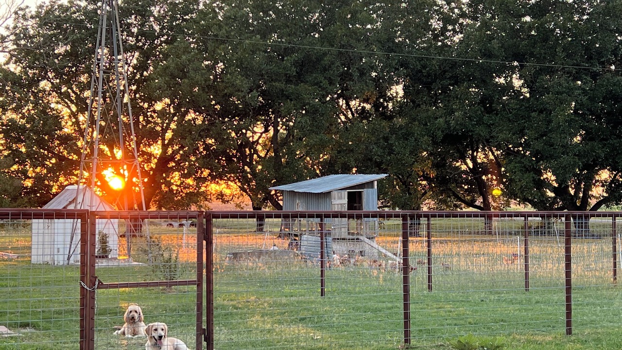 Photo of Outdoor in Taylor