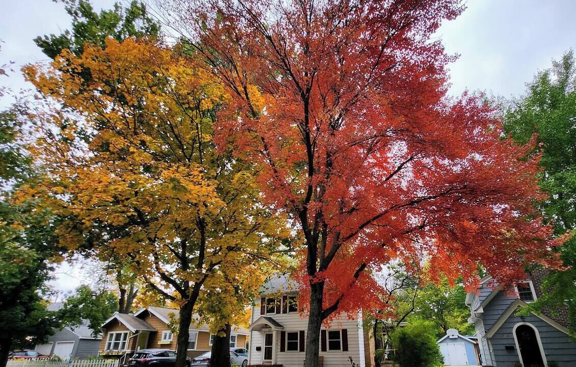 Photo of Others in Ames