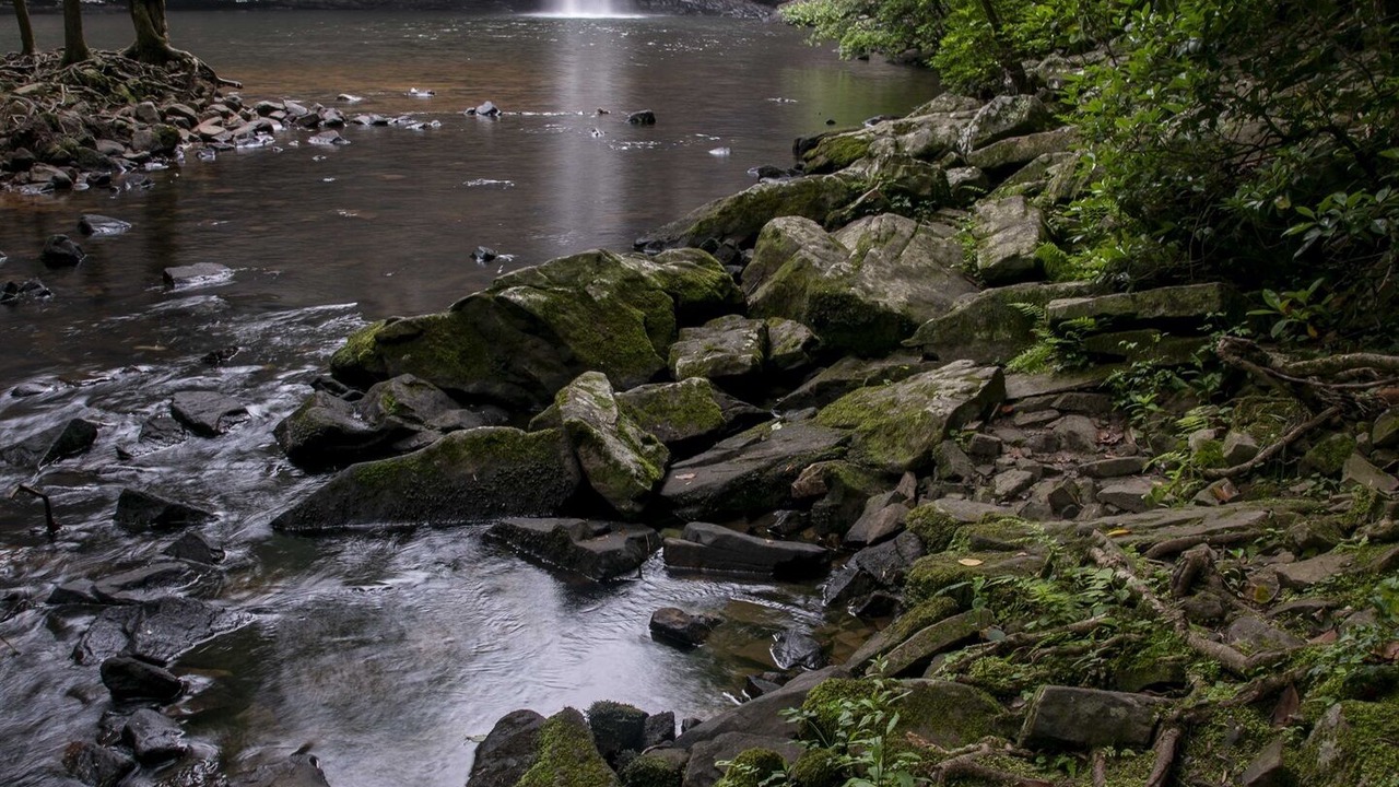 Photo of Others in Coalmont