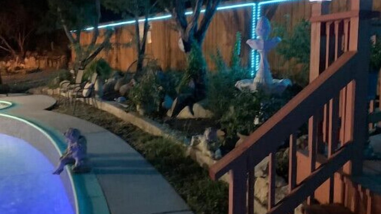 Photo of Outdoor in Helotes