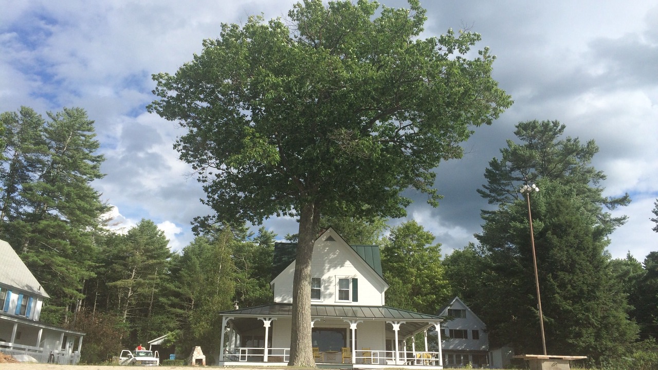 Photo of Outdoor in Enfield