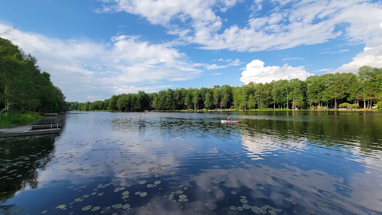 Photo of Others in Hamlin