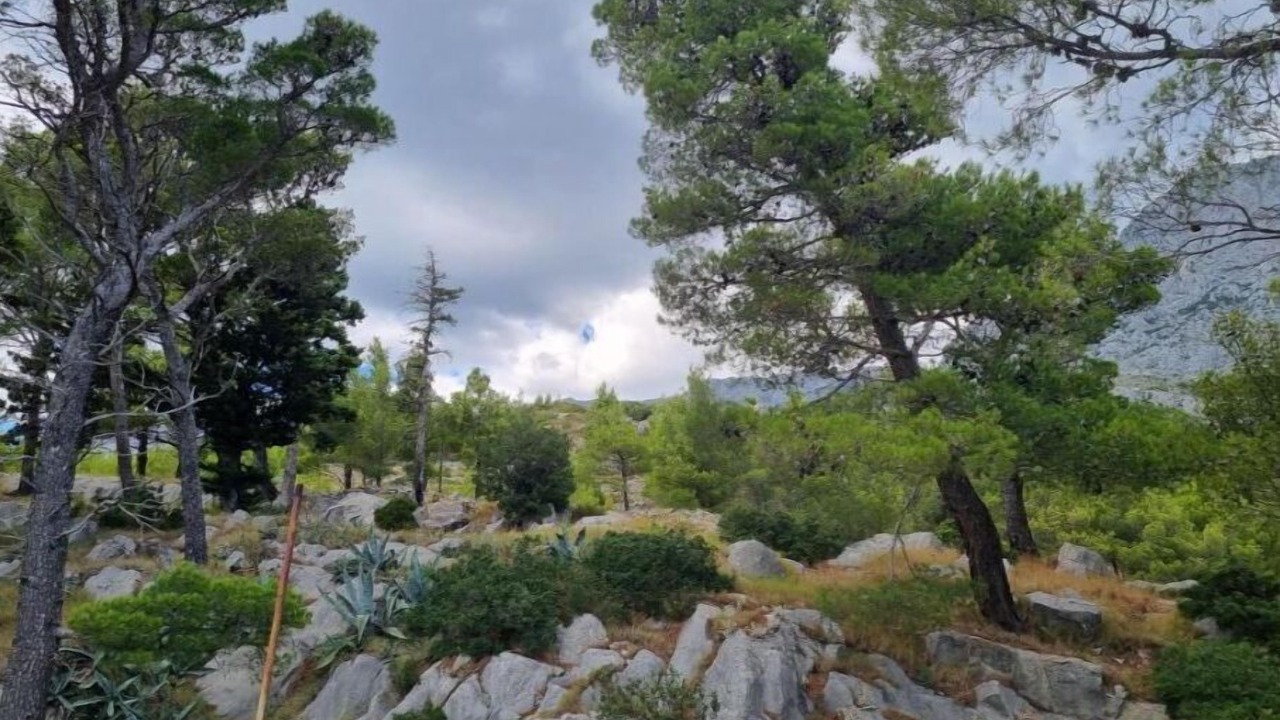 Photo of Outdoor in Krvavica