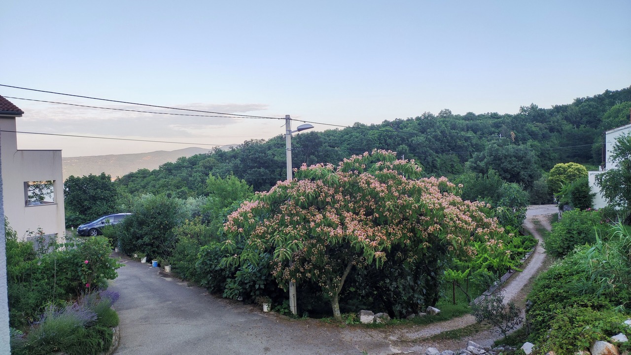 Photo of Outdoor in Brsec