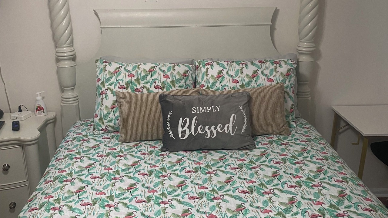 Photo of Others in Bear