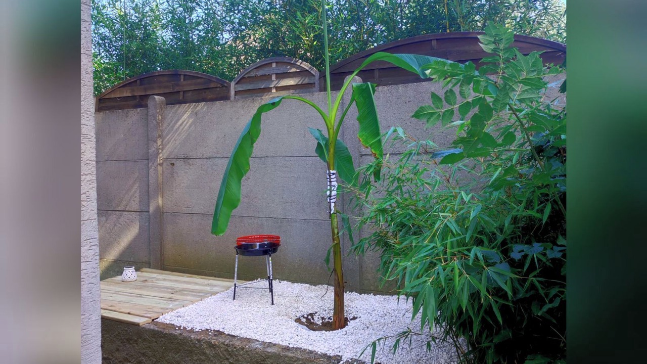 Photo of Outdoor in Morsang-sur-Orge