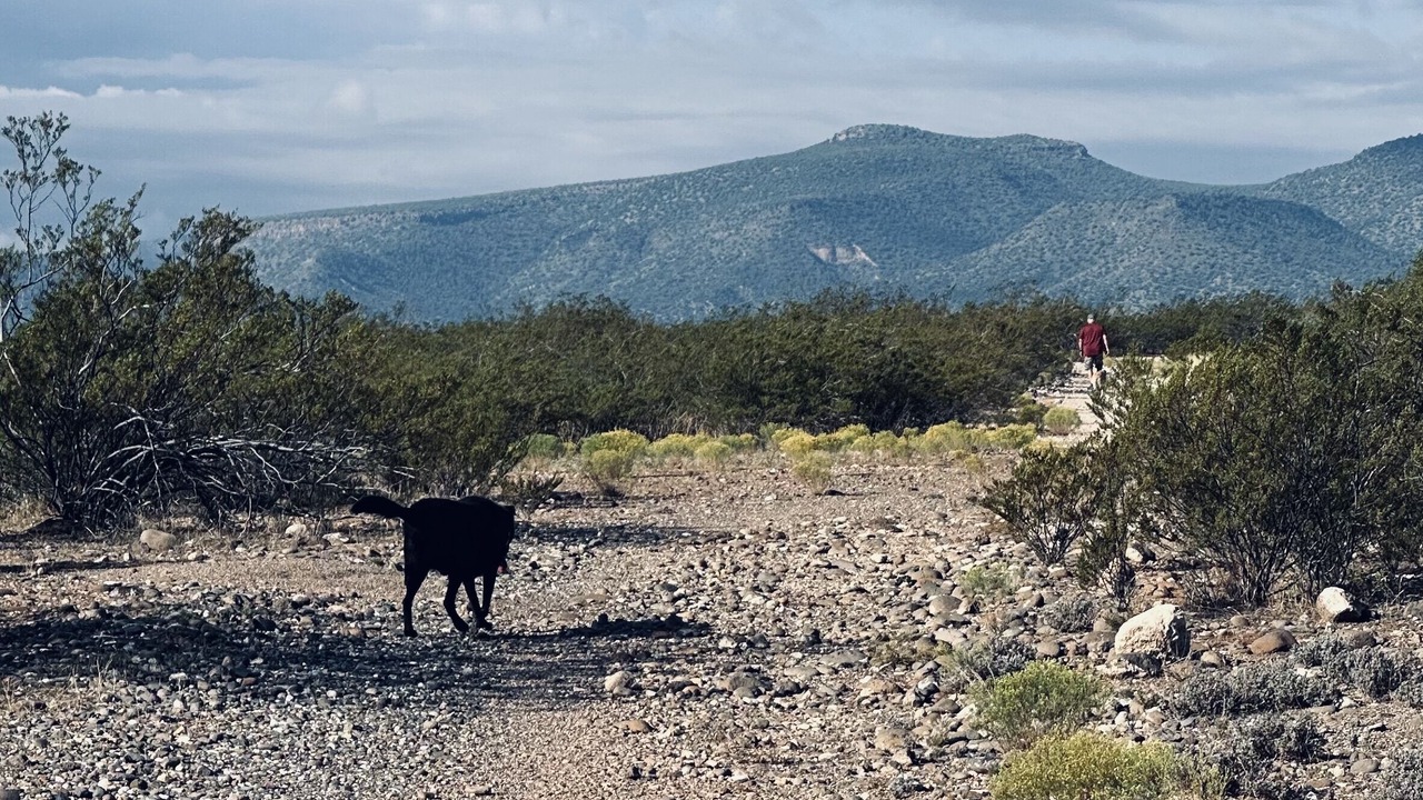 Photo of Others in Camp Verde
